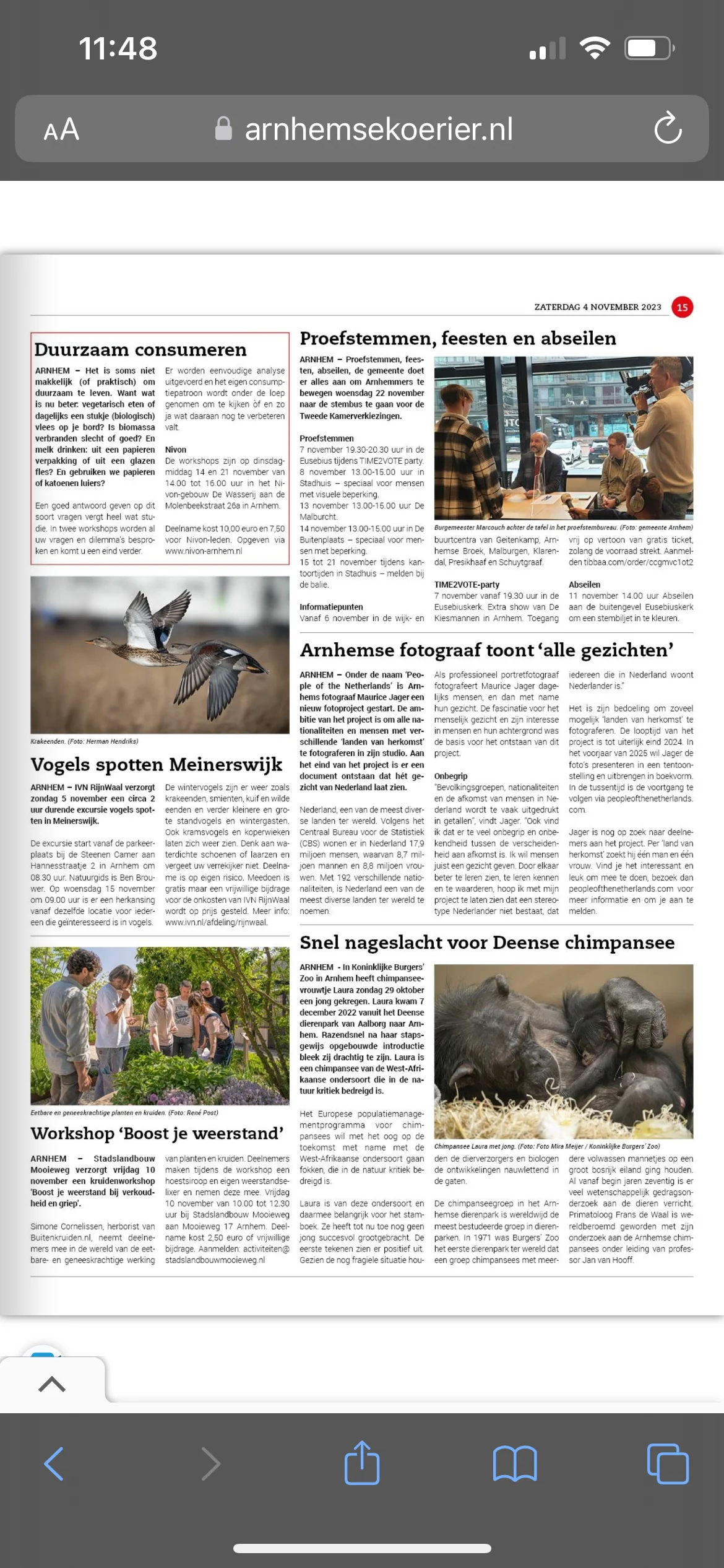 Article screenshot